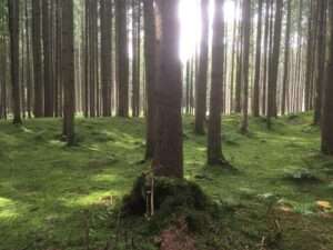 Whatsapp Image 2024 10 20 At 16.32.30