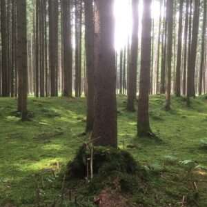 Whatsapp Image 2024 10 20 At 16.32.30