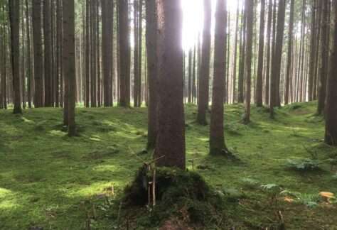 Whatsapp Image 2024 10 20 At 16.32.30