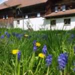 Mühle Mitterhaselbach 04 (4)