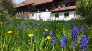 Mühle Mitterhaselbach 04 (4)