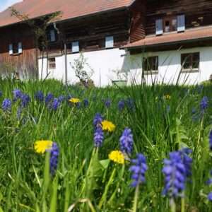 Mühle Mitterhaselbach 04 (4)
