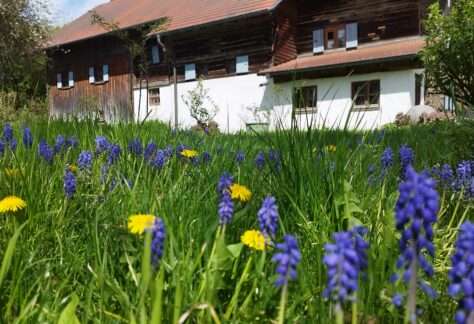 Mühle Mitterhaselbach 04 (4)