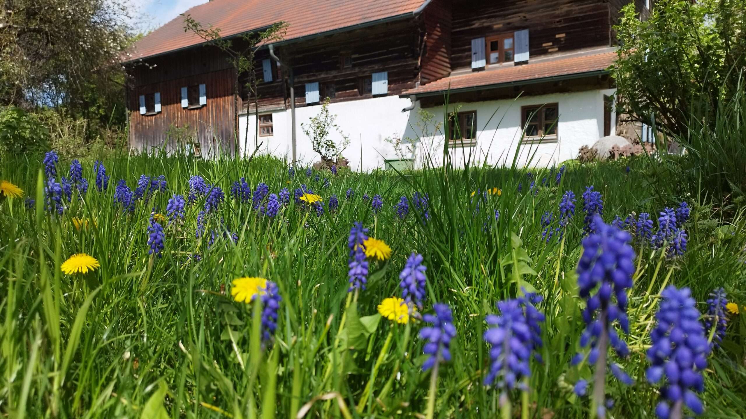 Mühle Mitterhaselbach 04 (4)